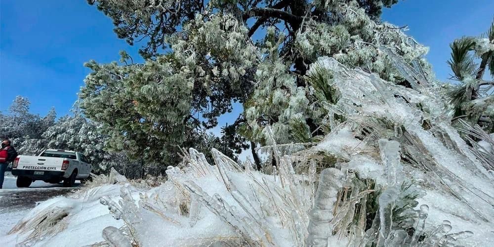 Se mantiene la posibilidad de heladas al amanecer en Veracruz: Conagua