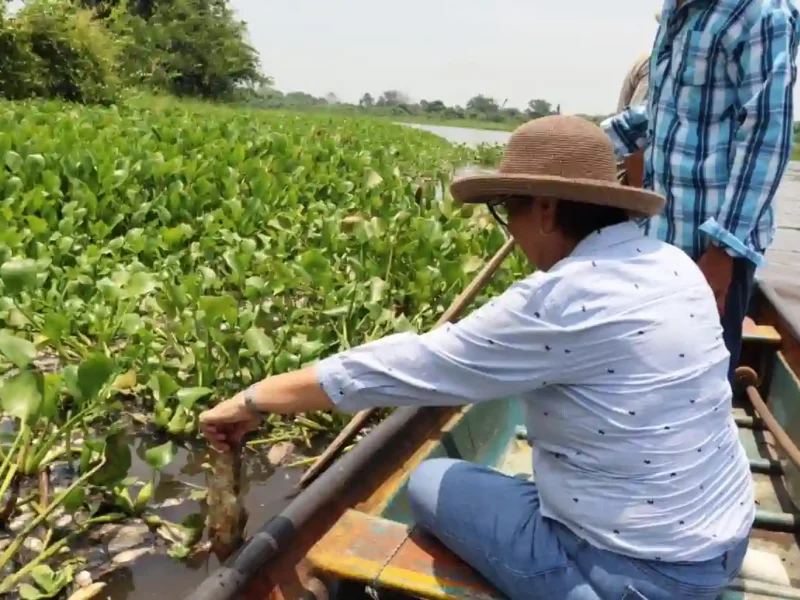 Diputada Mago Corro denuncia ante Profepa y PMA ecocidio y mortandad masiva de peces en Arroyo Hondo