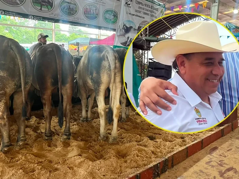 Leche para el Bienestar busca comprar 45 millones de litros a productores de Veracruz en 2026