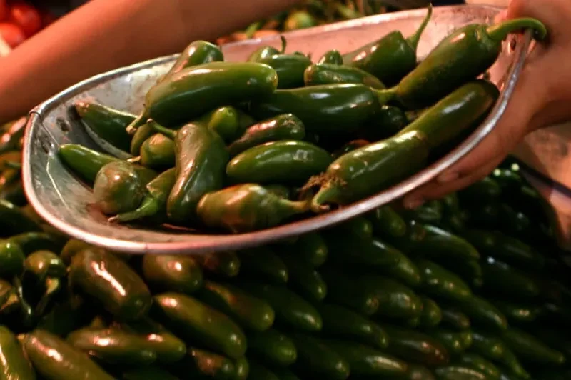 Brote de salmonela en EU se vincula con chile jalapeño exportado desde México