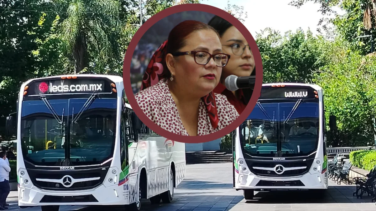 Daniela Griego confirma arranque del transporte “Atenas” en Xalapa, anunciado por Rocío Nahle
