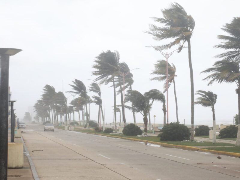 Continuarán lluvias en el sur durante las próximas 48 horas; baja intensidad del Norte en Veracruz